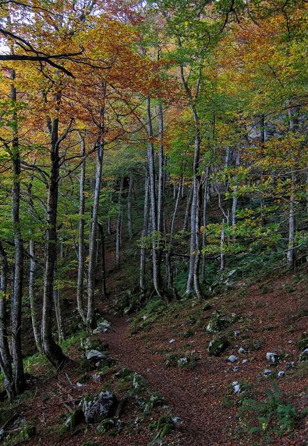 MONTE TUZO Y  MAYAOS DEL GUMIAL Y FUENTES
