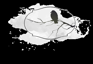 Los mejores blogs: Concurso de blogs