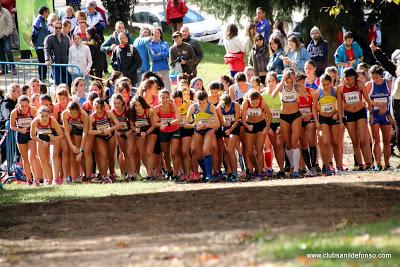 XXXI CROSS DEL C.A. SUANZES