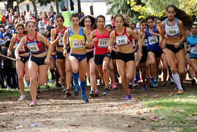 XXXI CROSS DEL C.A. SUANZES