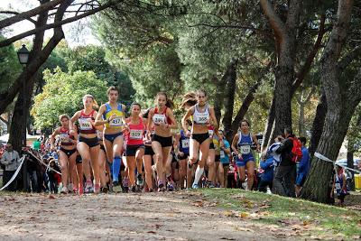 XXXI CROSS DEL C.A. SUANZES
