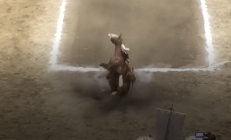 Manuel Velasco cae del caballo