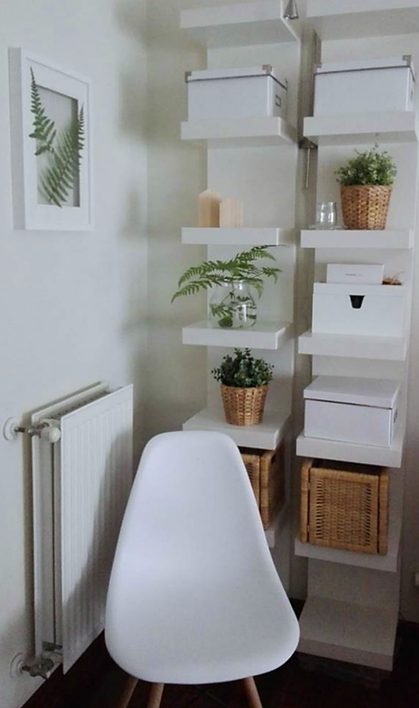 Cuadro de botánica handmade con helechos naturales