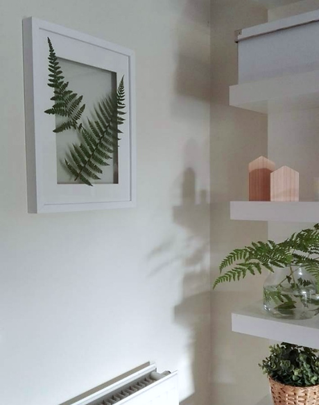 Cuadro de botánica handmade con helechos naturales Cuadro de botánica handmade con helechos naturales