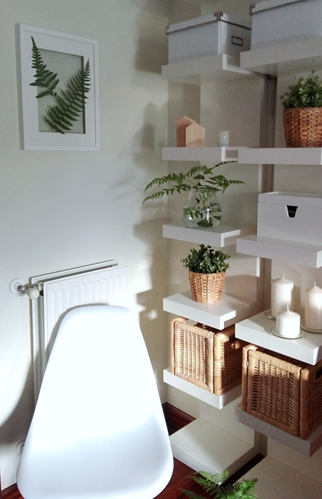 cuadro botánica con helecho Ayuda a decorar Cuadro de botánica handmade con helechos naturales