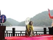 mono adivino sabe resultado elecciones EE.UU