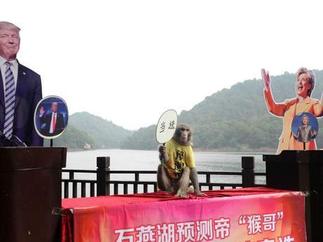 dt-common-streams-streamserver-cls