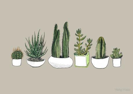 Inspiración: cactus, cacti 2ª parte Inspiración: cactus, cacti 2ª parte