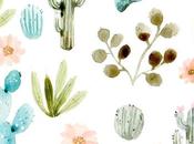 Inspiración: cactus, cacti parte