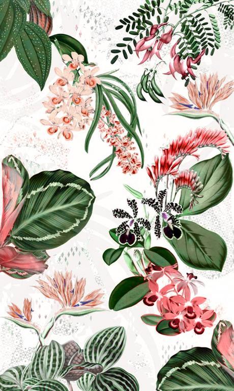 Irina Muñoz illustration, floral pattern