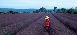 Charlando con Pedro Brotini