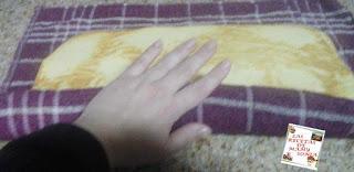 TRONCO DE NAVIDAD RELLENO DE NATA Y DULCE DE LECHE EN THERMOMIX TRONCO DE NAVIDAD RELLENO DE NATA Y DULCE DE LECHE EN THERMOMIX