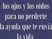 maestros lecciones cambiaron vida