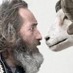 Festival de Sevilla, Sección Oficial: LA MUERTE DE LUIS XIV, los acólitos del poder SEFF 2015: RAMS, DEAD SLOW AHEAD y CEMETERY OF SPLENDOUR, viaje más allá de Europa