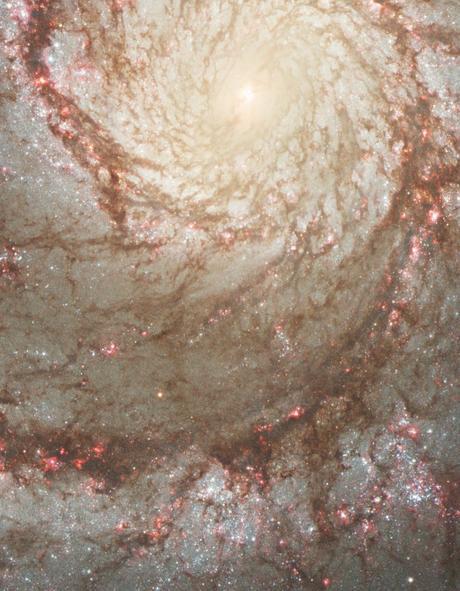 ✨La estrella progenitora de M51 ✨La estrella progenitora de M51