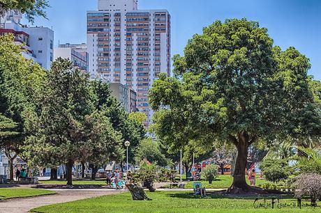 Paisaje a pleno sol  con hombre  sentado sobre reposera bajo la sombra de un árbol