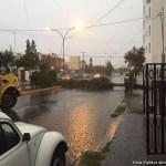 Desastre en San Luis Potosí por lluvia; caen árboles y anuncios