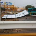 Desastre en San Luis Potosí por lluvia; caen árboles y anuncios