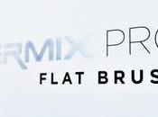 Cepillo alisador Flat Brush Termix