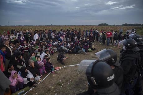 refugiados_hungria_serbia_campo_maiz