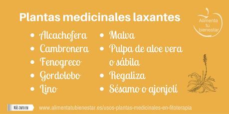 Usos de las plantas medicinales en fitoterapia