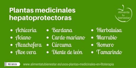 Usos de las plantas medicinales en fitoterapia