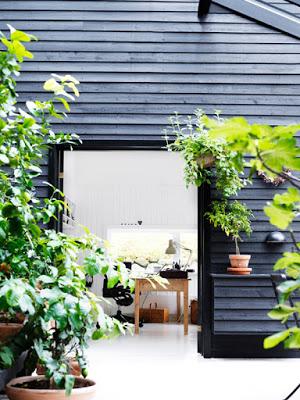 Blanco y  Negro Escandinavo