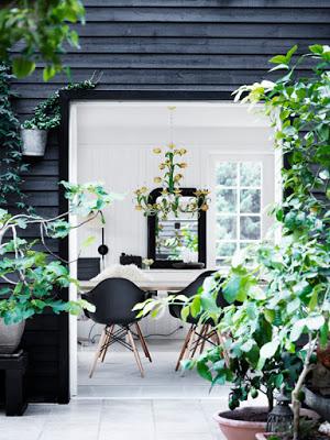 Blanco y  Negro Escandinavo