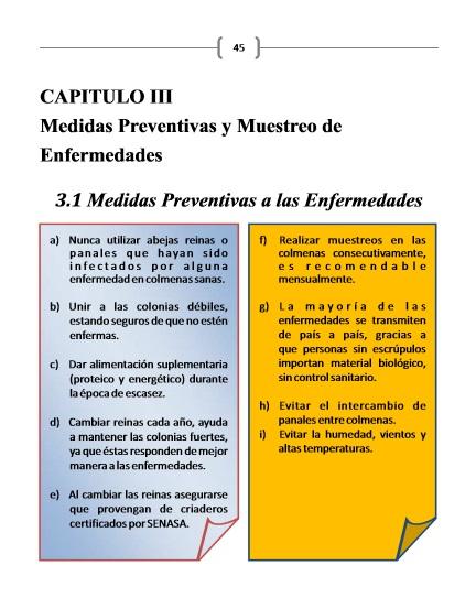 MANUAL DE ENFERMEDADES APÍCOLAS - BOOK OF BEEKEEPING AFFLICTIÓN.