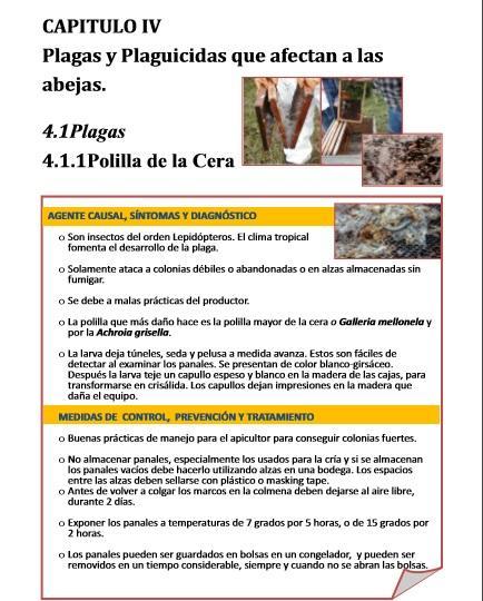 MANUAL DE ENFERMEDADES APÍCOLAS - BOOK OF BEEKEEPING AFFLICTIÓN. MANUAL DE ENFERMEDADES APÍCOLAS - BOOK OF BEEKEEPING AFFLICTIÓN.