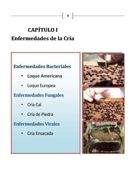 MANUAL DE ENFERMEDADES APÍCOLAS - BOOK OF BEEKEEPING AFFLICTIÓN. MANUAL DE ENFERMEDADES APÍCOLAS - BOOK OF BEEKEEPING AFFLICTIÓN.