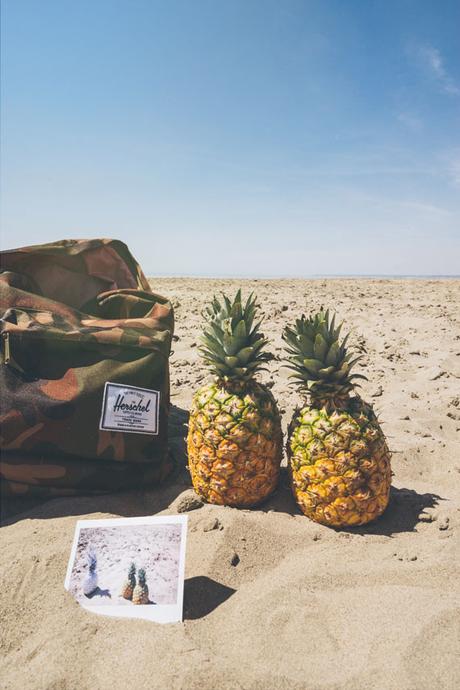 FREE PHOTOS: 