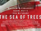 Árboles Vídeo Reseña. Sant suyo