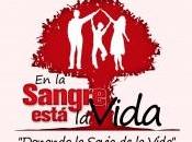 Maratón donación sangre