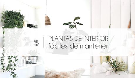  photo plantasinterior.jpg