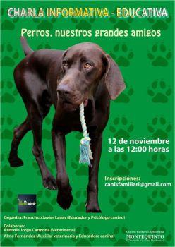 perros-nuestros-grandes-amigos_09112016