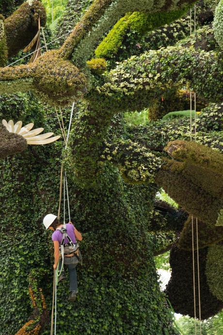 Mosaïcultures International: esculturas hechas de plantas que te dejarán boquiabierto