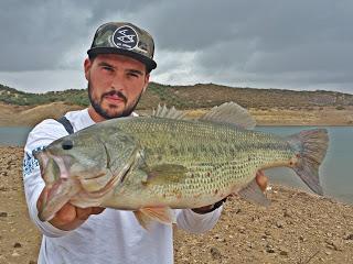 De pesca por el sur