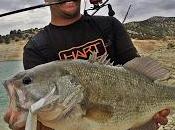 pesca