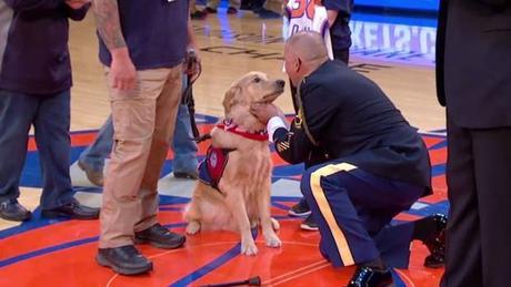 la-hermosa-conexion-de-un-perro-de-asistencia-y-un-veterano-de-guerra-en-su-primer-encuentro