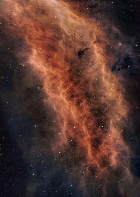 ✨La nebulosa California por Paul C. Swift ✨La nebulosa California por Paul C. Swift