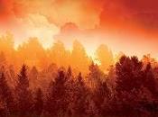 Canadá Richard Ford