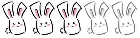 3bunny