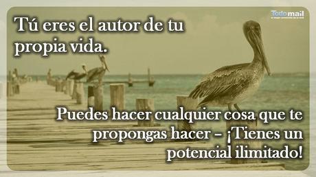 15 Reglas De Oro Para Vivir La Vida a Plenitud