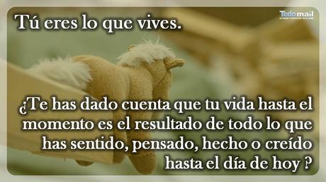 15 Reglas De Oro Para Vivir La Vida a Plenitud