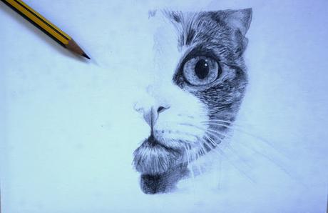 Retrato a lápiz de mi gata