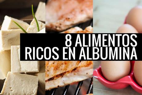 Alimentos Ricos en albumina