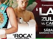 Zulina Loba” Muñoz Carolina Fiera” Álvarez Vivo Sábado Noviembre 2016