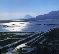 Parque Natural de la  Marjal de Pego y Oliva.