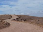 señales perdido rumbo profesional